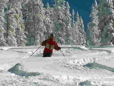 dewep powder skier